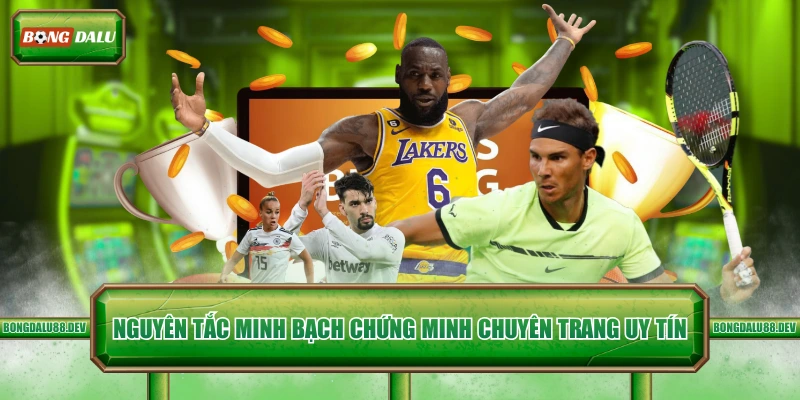 Nguyên tắc minh bạch chứng minh chuyên trang uy tín