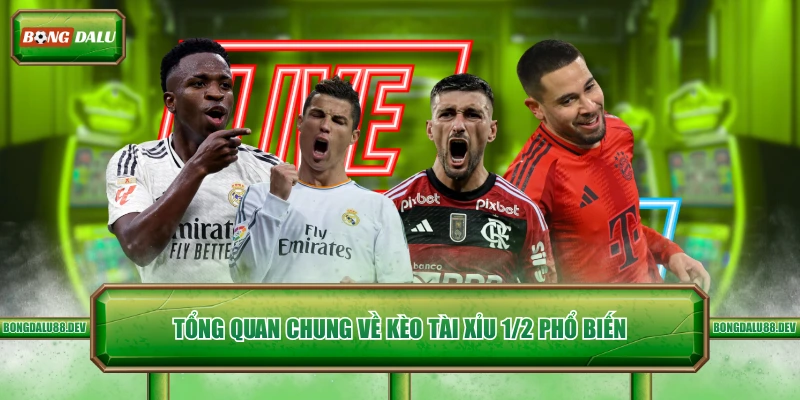 Tổng quan chung về kèo tài xỉu 1/2 phổ biến